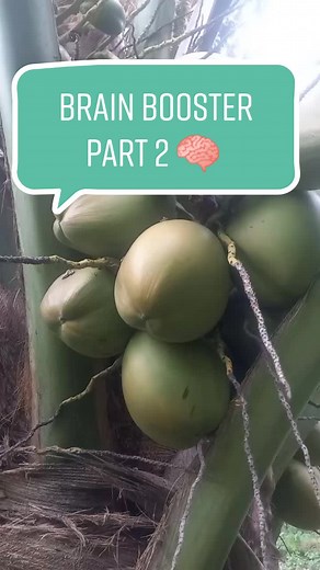 herbalmall1 on TikTok
