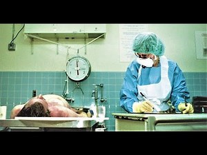 了解 Job of Forensic Pathologist 法医病理学家的工作 (3分钟微学习)
