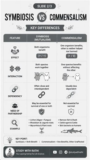 🌿 Symbiosis vs Commensalism: Understanding Ecological Relationships