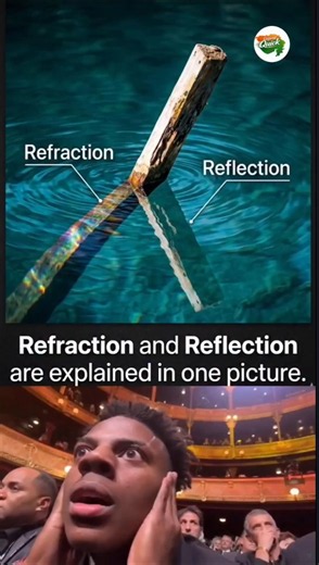 Refraction Vs Reflection Made Easy