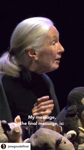 Marianne Hardart on Instagram: "She was everything we need."