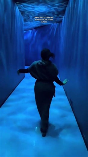 Blue Paradox is a new experience at the Museum of Science... #Shorts #gokylahgo