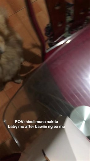 Heartbreaking Moments: Losing a Pet After a Breakup