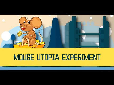 Mouse Utopia Experiment (Behavior sink caused by extreme material satisfaction)