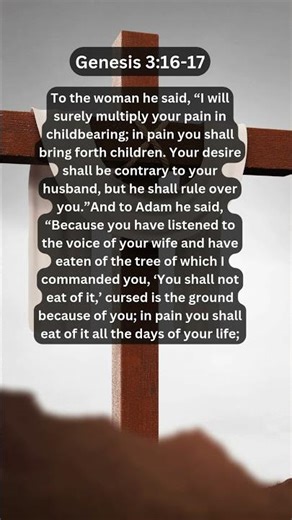 Journey of faith and spiritual growth | Genesis 3:16-17 Daily Bible Verse