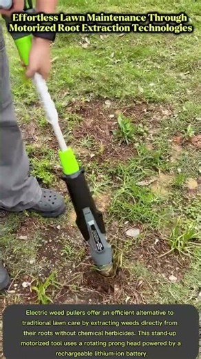Step-by-Step Mechanical Removal of Deep-Rooted Garden Weeds