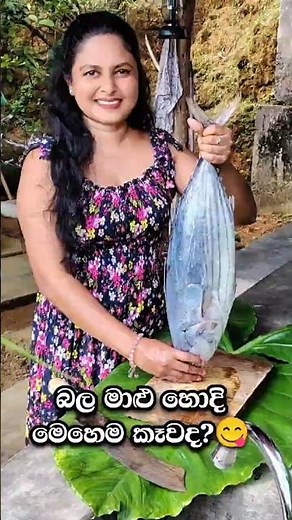 Giant Tuna Fish Curry Recipe 🐟🔥 | Traditional Sri Lankan Village Cooking | Bala Malu Curry