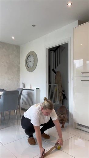 Understanding Bulldog Behavior: Nigel's Confusion