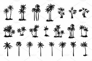 Hand drawn palm tree set, a Background Graphic by Artha Design Studio