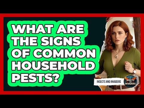 What Are The Signs Of Common Household Pests?