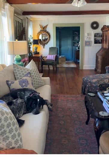 Three Years of Homeownership: A Colorful Journey