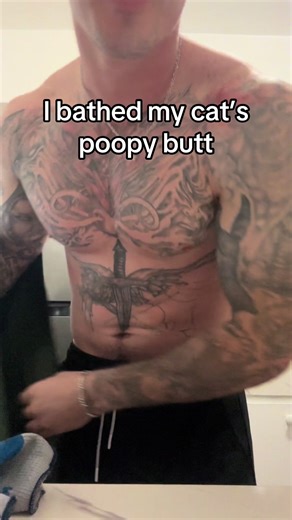 Caring for Your Cat After Bath Time Woes