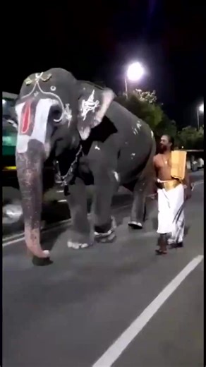 The Mahout of Andal, Srirangam Temple Elephant You can see the mahout pleading & her polite refusal ❤️ | Girish Bharadwaj
