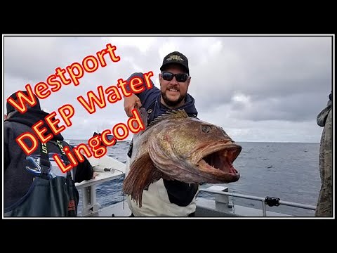 DEEP Water Lingcod-Westport