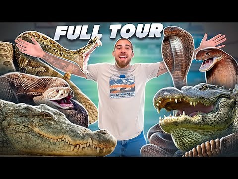FULL TOUR Of My VENOMOUS SNAKE and CROCODILE Collection!!!