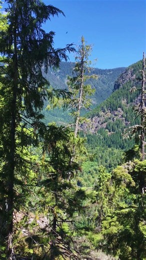Peaceful Wilderness Solitude | Stegosaurus Butte Trail | Washington State #nature #forest #mountains