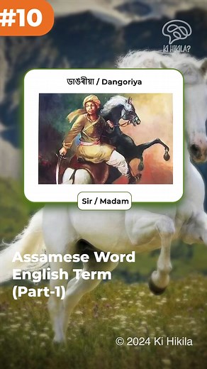 10K views · 329 reactions | Assamese Words English Terms 茶 - Discover the English meanings of popular Assamese words! Comment some Assamese words & English terms that you know! It will help us to create a 2nd part this. #languagelearning #assamesetoenglish #literature #gk #assamese #kihikila Don't miss out! Make sure to share this reel and follow us on YouTube for all the updates! ©️ 2024 Ki Hikila | Ki Hikila? | Facebook
