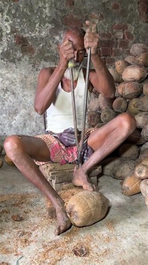 Amazing Dry Coconut Cutting Skills | Satisfying Coconut Processing