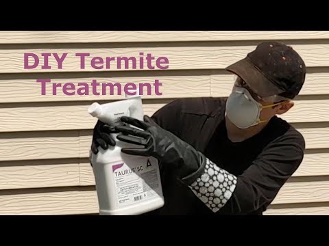 How to treat your own home for Termites