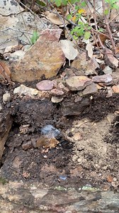 1.6M views · 6.9K reactions | #reelsvideoシ #hobbydetecting #treasurehunt #pranks #reels #detector #old | Roman treasures | Facebook