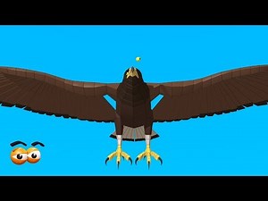 CUBE BUILDER for KIDS (HD) - Build Eagle for Children - AApV
