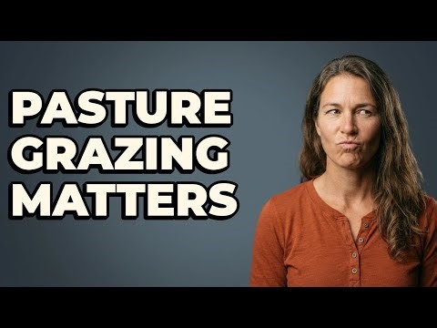 Why Is Even Pasture Grazing Important For Horses?