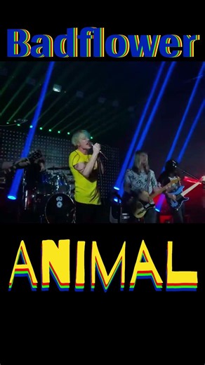 Badflower - Animal IV