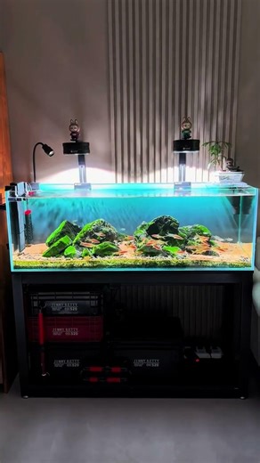 DIY Natural Stream Biome, Stream Biotope Masterclass From Wild to Aquarium, aquarium youtube channel