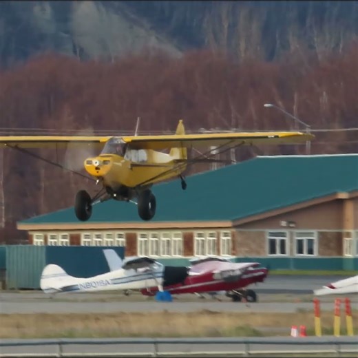 Nice Cub Landing #aviation #airplane #landing #palmeralaska #pipercub