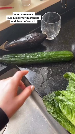 Freezing Cucumbers for Quarantine: Tips and Tricks