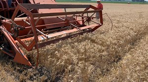 Watch this vintage Allis Chalmers in the field at the 30th Orange Spectacular. The crowd there loves watching machinery at work! #orangespectacular #allischalmers #classictractorfever #aumannvintagepower | Classic Tractor Fever