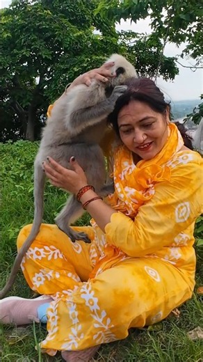 A lot of love,and the sweetest moments🐒Watching these playful little ones have fun is pure joy.❤️✨