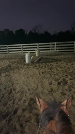 😋😋#fyppppppppppppppppppppppp #mouse_eq #equestrian #horsesoftiktok #viral