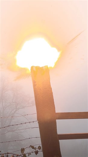 Fenix - FP3 4g 🧨💚💥 (Extrem Sound) 😍 #fireworks #firecracker #fyp