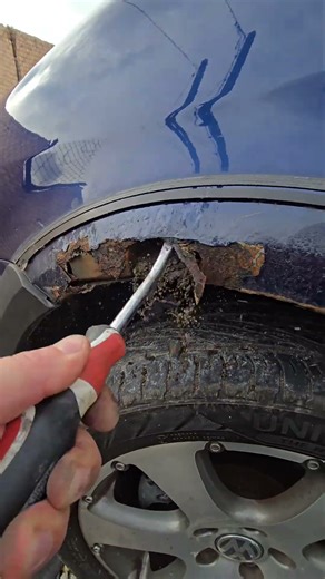 Volkswagen Rust Repair: The Right Way to Fix a Rusted Fender