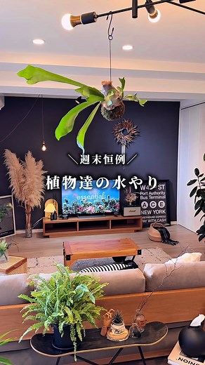 観葉植物のベランダインテリア活用法