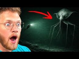 This Is Why the Ocean Is Scarier Than Space Original Video: https://www.youtube.com/watch?v=mzeN0BXR4e0 👕: BeckBros Clothing: https://beckbrojack.co/collections/beckbro-tees/products/beckbros-t-shirt 👉🏻: Subscribe to our IRL Channel: https://www.youtube.com/channel/UCAstD3OTUl4fVQ7FDqPotEw #BeckBroArmy #BeckBroJack #BeckBroPlays #MoreBeckBros #Reaction | BeckbroJack