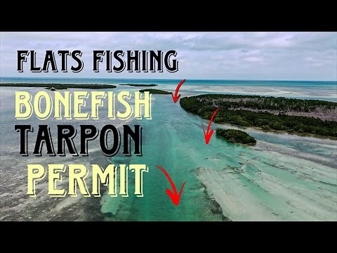 Sight Fishing The Florida Keys for Tarpon, Permit, & Bonefish