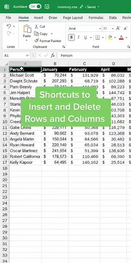 Excel Tips: Adding and Deleting Rows and Columns with Mos