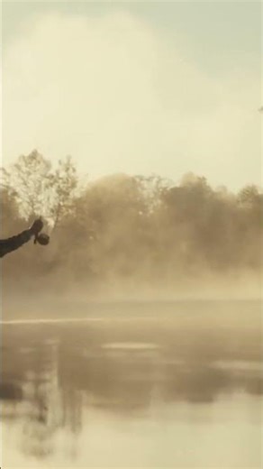 Top Fishing Lures for Every Angler