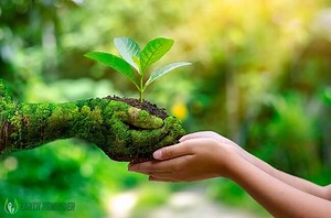 Earth Day 2020: Theme, Date, History & Events | Earth Reminder