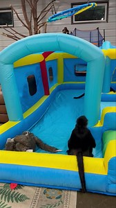 What does our Saturday night dates look like?? Well its lots of laughs watching our little crazy crew put on a private show for us. Who needs tv lol. I think they love it by all of the hops, flips, and spin moves🤣 | Our Life Adventures