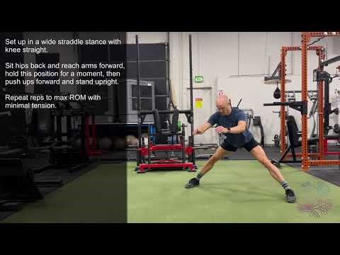 Straddle Stance Reach