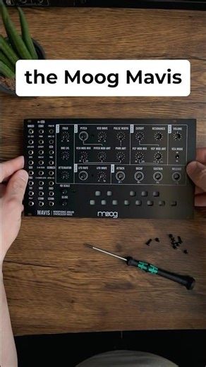 Moog Mavis DIY Build — Quick Assembly