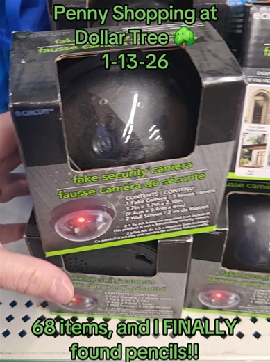 Penny Shopping Finds at Dollar Tree: 68 Items Discovered