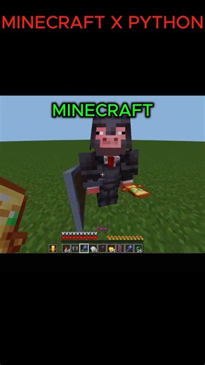 PYTHON X MINECRAFT #minecraft #mincraftpvp #gaming #python #programming