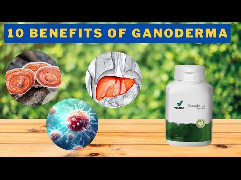 10 Benefits of Vestige Ganoderma | கனோடெர்மாவின் 10 நன்மைகள்| Ganoderma Mushroom health benefits