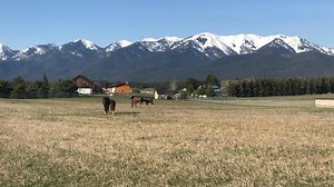 Community Yard Sale lets community declutter, find treasures