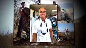 U.S. Dentist Walter Palmer Won't Be Charged in Cecil the Lion Slaying: Report