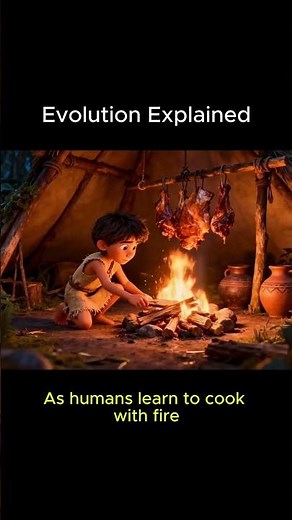 Why Humans Have Wisdom Teeth | Evolution Explained